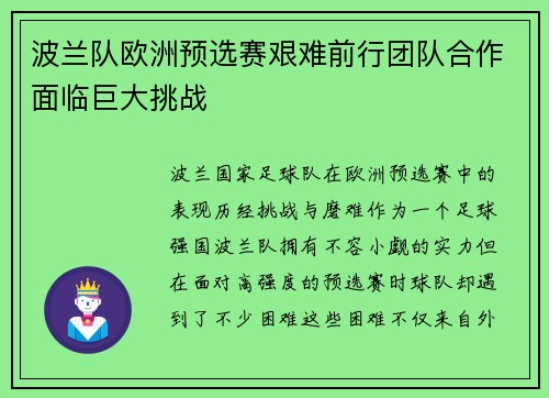 波兰队欧洲预选赛艰难前行团队合作面临巨大挑战