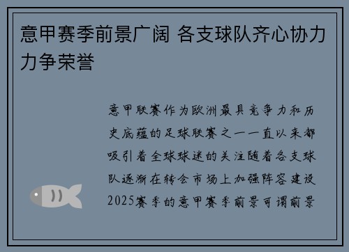 意甲赛季前景广阔 各支球队齐心协力力争荣誉